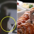 족발자리 이미지