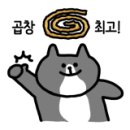 노블스크린골프 이미지