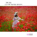 산소카폐 청송정원 (1) | 경북 청송 :: 산소카페 청송정원 꽃양귀비【26년6월6일】