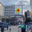 도로변(디지털로 231) 이미지