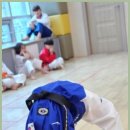 신세계태권도장 이미지