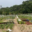 서울도봉초등학교 이미지