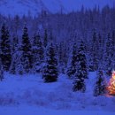 (주)이좋은세상 이미지