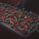 슬아슈퍼 이미지