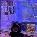 zemna zemna 이미지