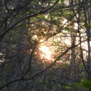 관산시장 | 전라도 정자詩로 만난 인물(1055)-송치규 (宋穉圭)