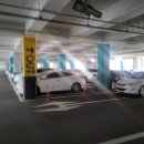 4583 | [대구/수성구] 신매동사주 잘 보는 곳🙂 '사주에반하니' 체험단 후기(사주+타로)