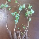 주신목장 이미지