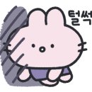 살롱 드 뷰티