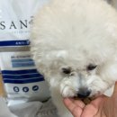 Dr.JK 동물병원 | 비숑프리제 슬개골탈구 동물병원 사료 추천템 세니메드 처방사료 후기