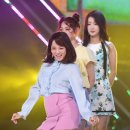 세정