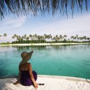 드림아일랜드 이미지