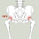 베르데미 이미지