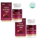 뉴파라다이스 쇼핑하우