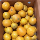 보내농장 이미지