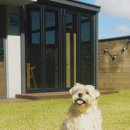 더봄애견 이미지