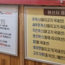 신돈키호테 이미지