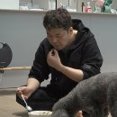 무무유치원 이미지