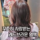 162 | 서산미용실 언제나 사랑받는 레드브라운 염색 추천 유지 꿀팁