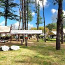 용문농협 주유소 이미지