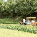 새소리농장 이미지