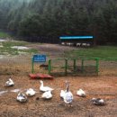 노송목장 이미지