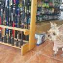 꿈에그린 민박 이미지