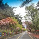 지리산수라간 | 구례 당일치기, 화엄사, 지리산 치즈랜드, 구만제 저수지, 맛집 <지리산 수라간>