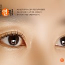 파마짱