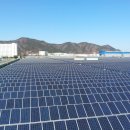 신호동 태양광발전소 이미지