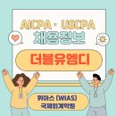 더블유엠디 이미지