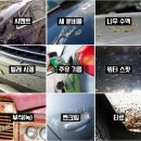 센텀카정비 이미지