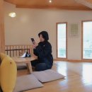 붕어부부