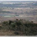 고사리 쉼터 이미지