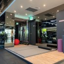 조프로짐 이미지