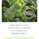 대보마트 | 풀무원샘물, 미네랄 가득한 대보 화강암수의 비밀은?