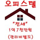 블루시티퀸덤 이미지