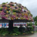 화랑대 철도공원 이미지