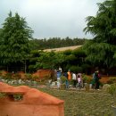 광산-비아-광산-50 이미지