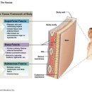 필라테스 모먼트 이미지