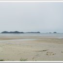 장삼포해수욕장 이미지