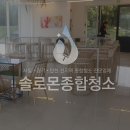 (주)솔로몬투어