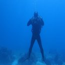 Bubble line 이미지