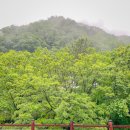 조무락계곡 이미지