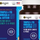 까미송