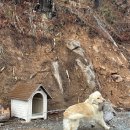 57번지게스트하우스 이미지