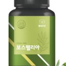 웰빙 1000 이미지