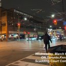 토론토 캣 이미지