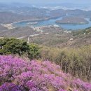 진천 두타산 삼형제봉 진달래 명소! 1시간 반이면 충분! 초보도 OK 진달래 코스
