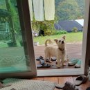 하늘밭, 봄 이미지